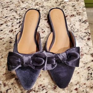 Loft ann Taylor shoes blue vetvet